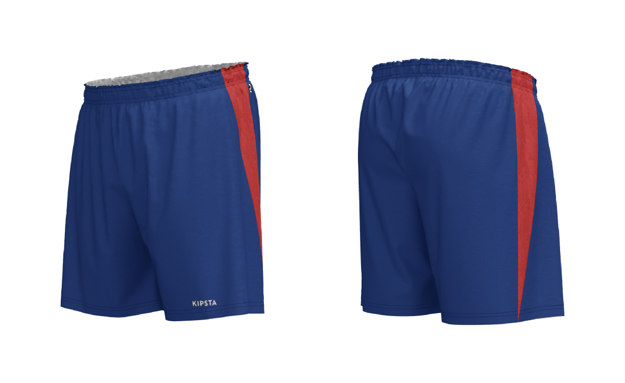 Men's Libero Volley Shorts V500